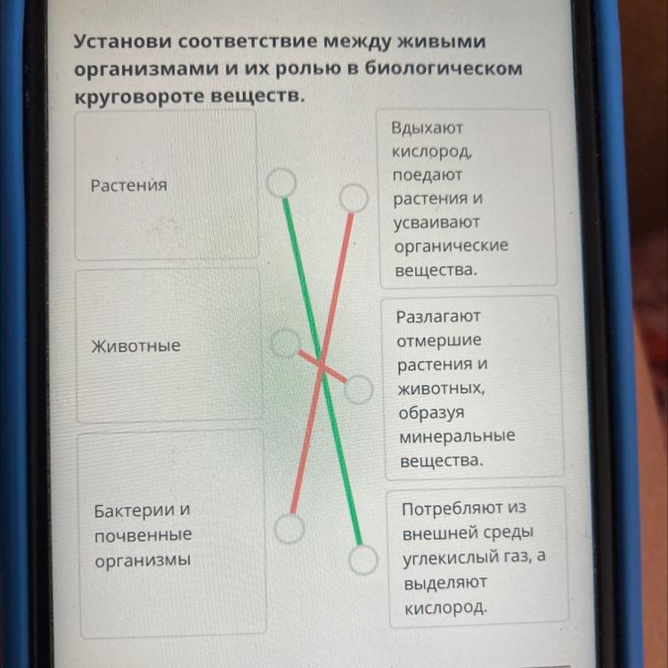 Установи соответствие между живыми организмами. Установите соответствие: Биосфера.