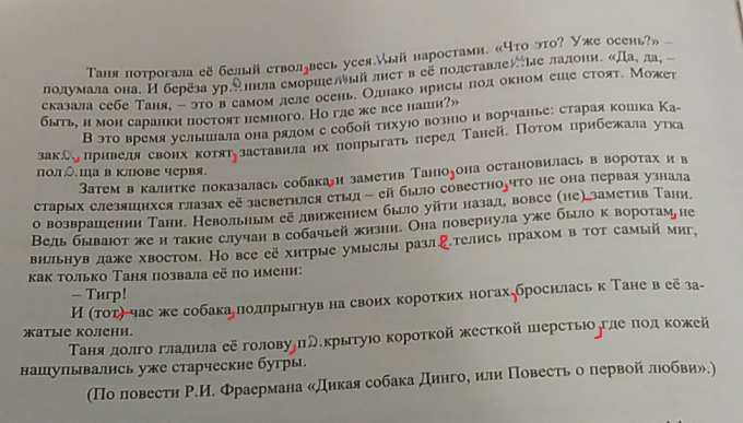 Вставьте пропущенные буквы знаки препинания обозначьте суффиксы ...