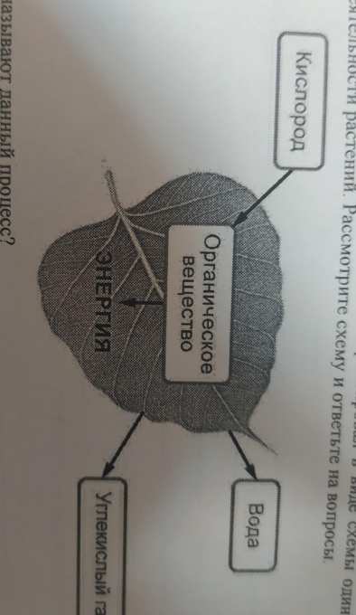 На представленном ниже рисунке ученик зафиксировал в виде схемы один из процессов жизни растения впр
