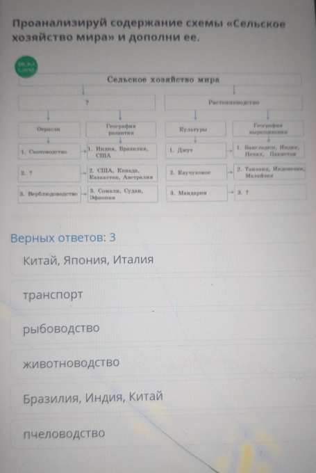 Проанализировав содержание карты