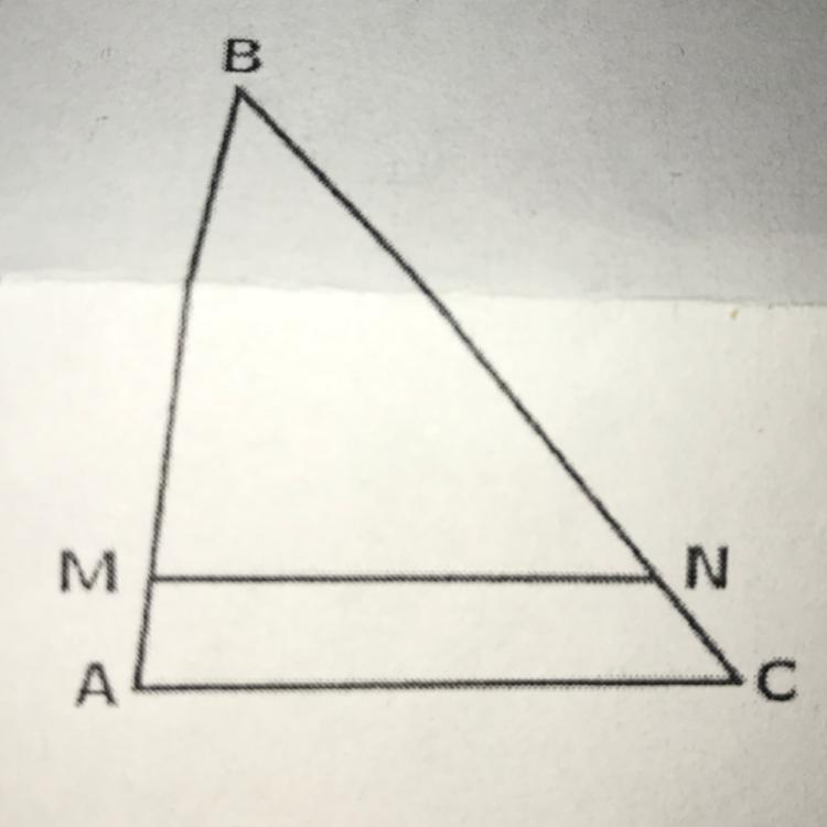 Прямая параллельная стороне АС треугольника АВС, пересекает стороны АВ ...
