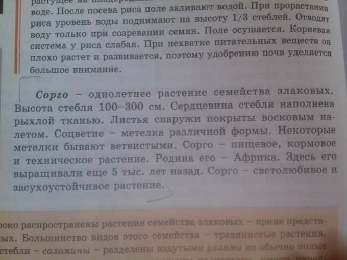 Доклад о любом животном и растение - Школьные Знания.pro