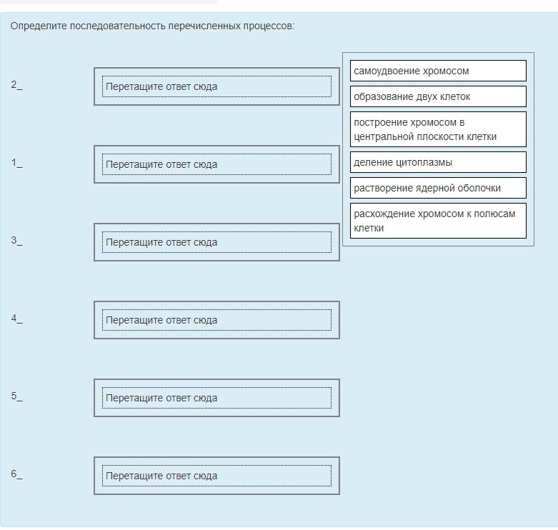 Определите последовательность перечисленных процессов: самоудвоение ...
