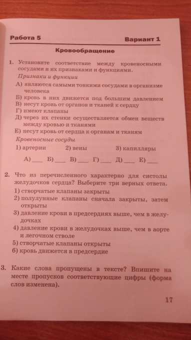 Е1 общие автомобильные вопросы