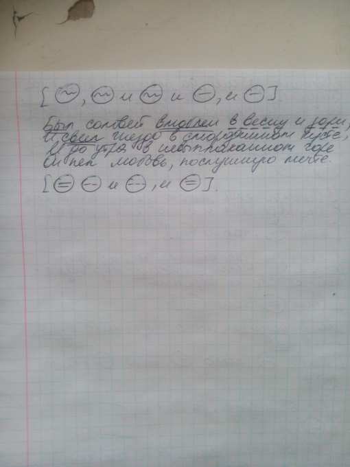 Задание 1. Запишите предложения, подчеркните однородные члены ...