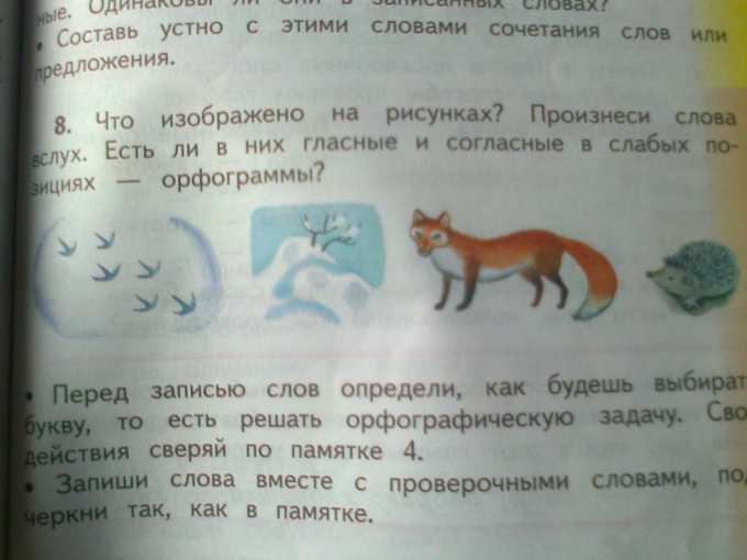 Что изображено на рисунках? произнеси слова вслух. Если в них гласные и ...