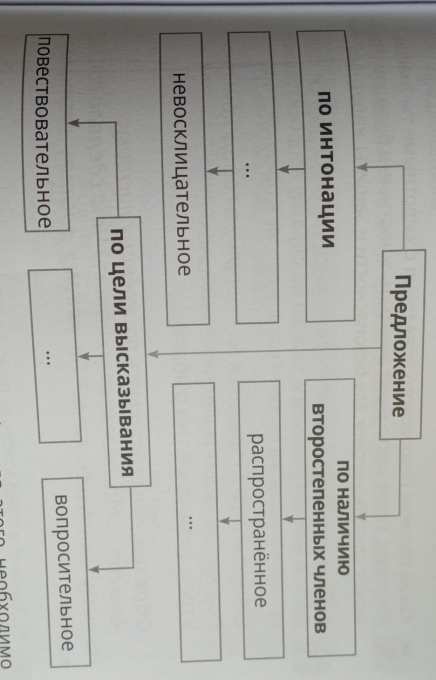 Рассмотри схему приведи примеры