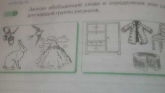 Запиши обобщающие слова и определения этих слов для каждой группы ...
