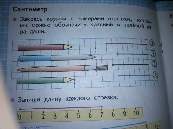 Тетрадь сантиметры. Закрась кружки. Закрась кружки с номерами. Сантиметр закрась кружки с номерами отрезков. Закрасить кружки с номерами отрезков.