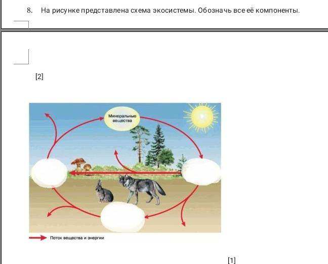 Изучите фрагмент экосистемы на рисунке. Рисунок экосистема её компоненты. Ель в экосистеме схема. Какие компоненты экосистемы обозначены цифрами 1-5. Какие компоненты экосистемы обозначены цифрами 1-3.