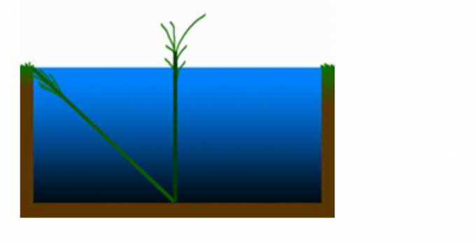 ширина водохранилища равна 1 джан в его центре растет тростник. ширина водохранилища равна 1 и 6 джан. ширина водохранилища равна 1 джан. реки краснодарского края характеристики. гидрологические особенности водохранилищ.