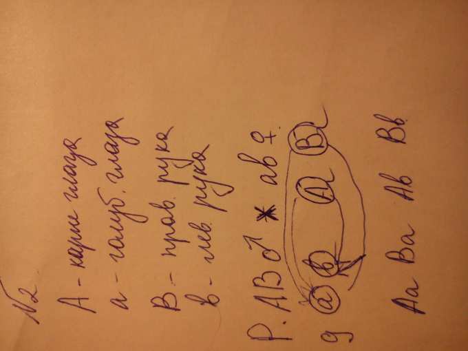 Генетика!!Решите,пожалуйста)Задача № 1.Ген раннеспелости овса ...