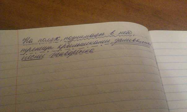 Синтаксический разбор поднявшись. На полях поднимаясь в небо трепеща. Крылышки синтаксический разбор. Синтаксический разбор предложения в полях заливаются Жаворонки. На полях поднимаясь в небо трепеща крылышками заливались песнями.