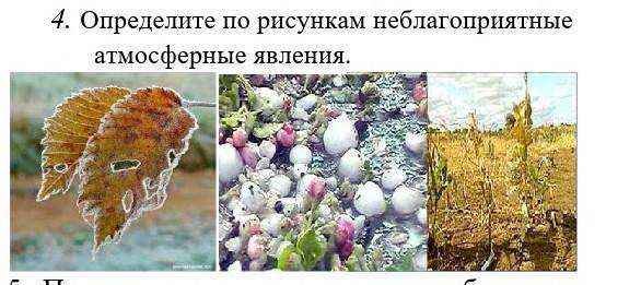 Определите неблагоприятное явление. Определите неблагоприятное явление
