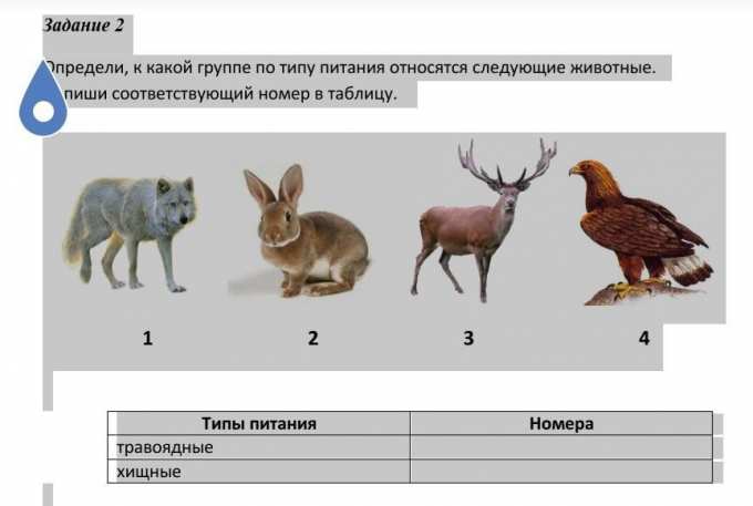 К какой группе питания