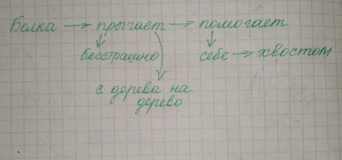 . Составьте схему предложения: Бесстрашно прыгает белка с дерева на ...