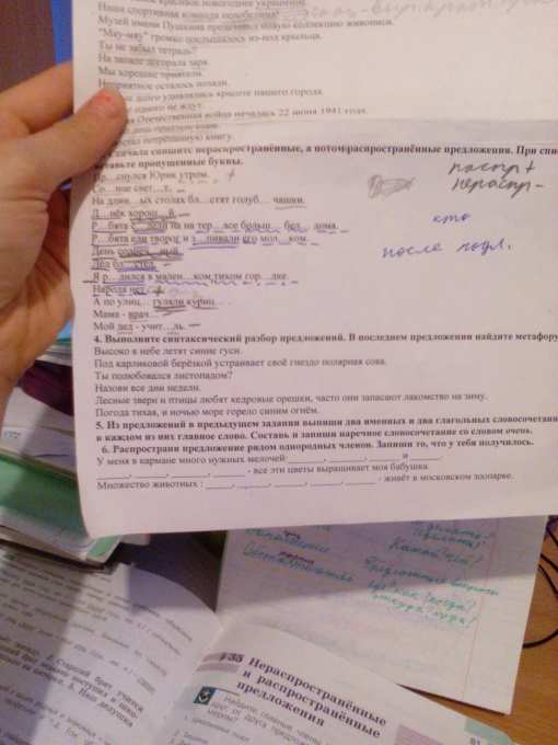 Выполните синтаксический разбор предложений.в последнем предложении ...