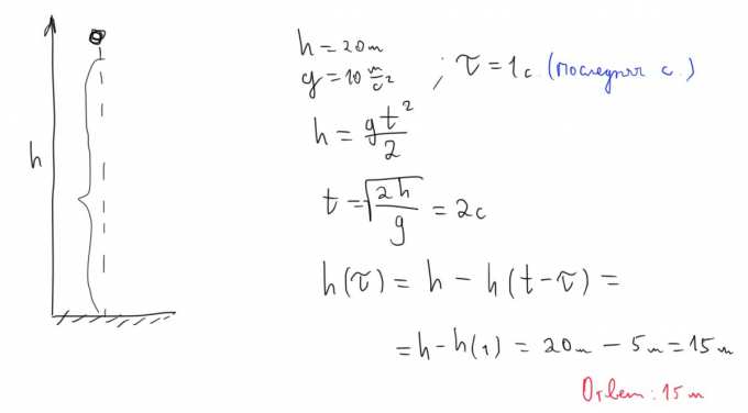 Маленький камушек свободно падает без начальной скорости с высоты 20 м ...