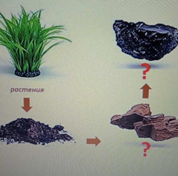 Образование какой химической горной породы показано на рисунке цифрой 2