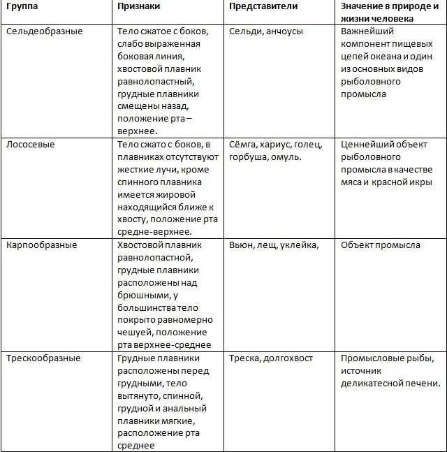 Признаки представителя. Отряды костных рыб таблица. Характеристика отрядов рыб таблица. Таблица Сельдеобразные рыбы представители. Трескообразные признаки таблица.