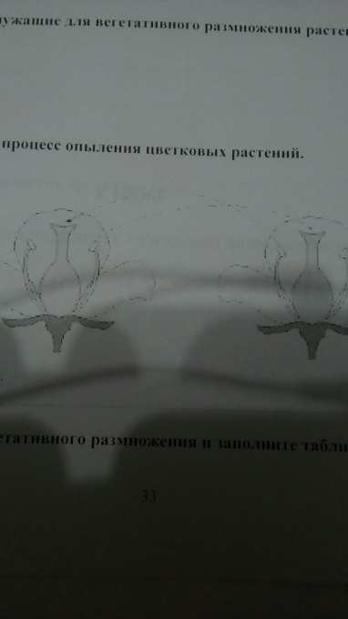 Какой тип волнения показан на рисунке