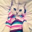 ПоЗИтиФфКа123