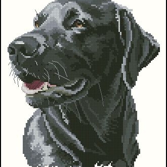 zaicdnk90