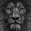 LionColl