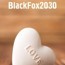 BlackFox2030