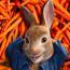 JustRabbit
