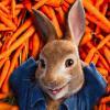 JustRabbit
