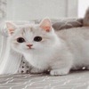 Dilya282995