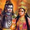 amitrajput46