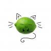 LimeIK2010